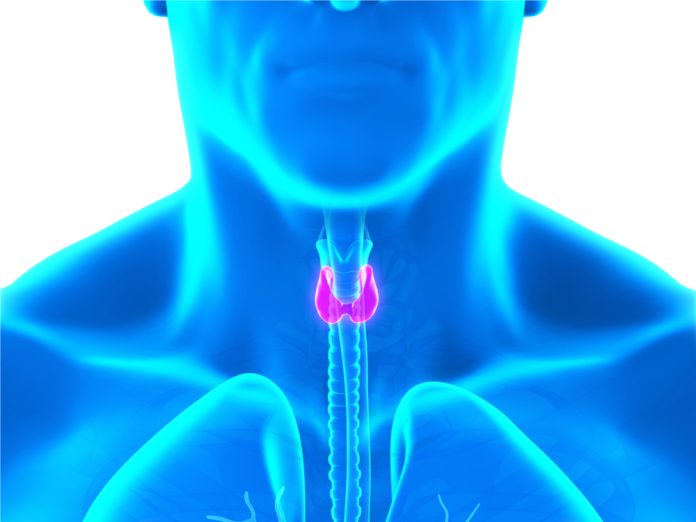 low thyroid hormone levels in men