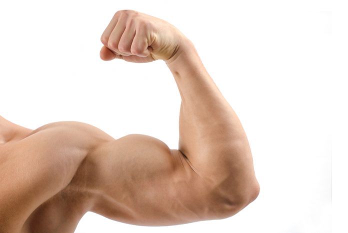 muscle-mass